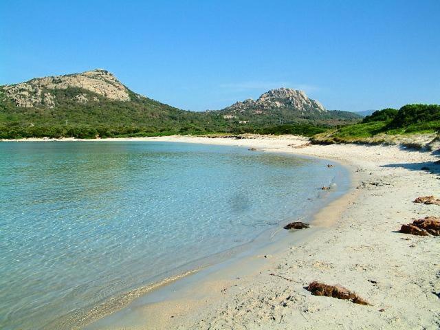 Chambres La Falcia - Figari - Corse Du Sud Eksteriør billede